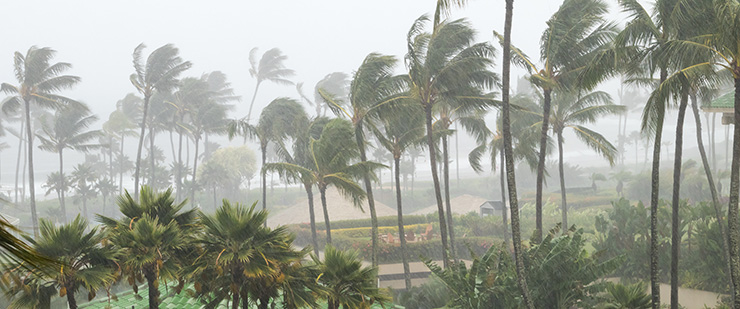 Storm protection